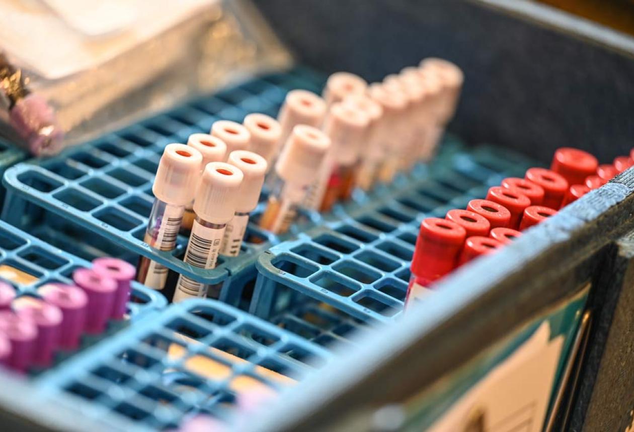 Don du sang (illustration)